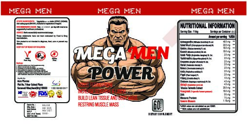 mega men power